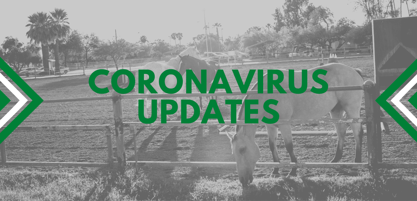 Coronavirus Updates (3)
