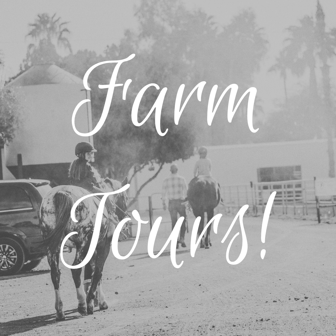Copy of Breakfast at the Farm 2019! Copy of Breakfast at the Farm 2019!