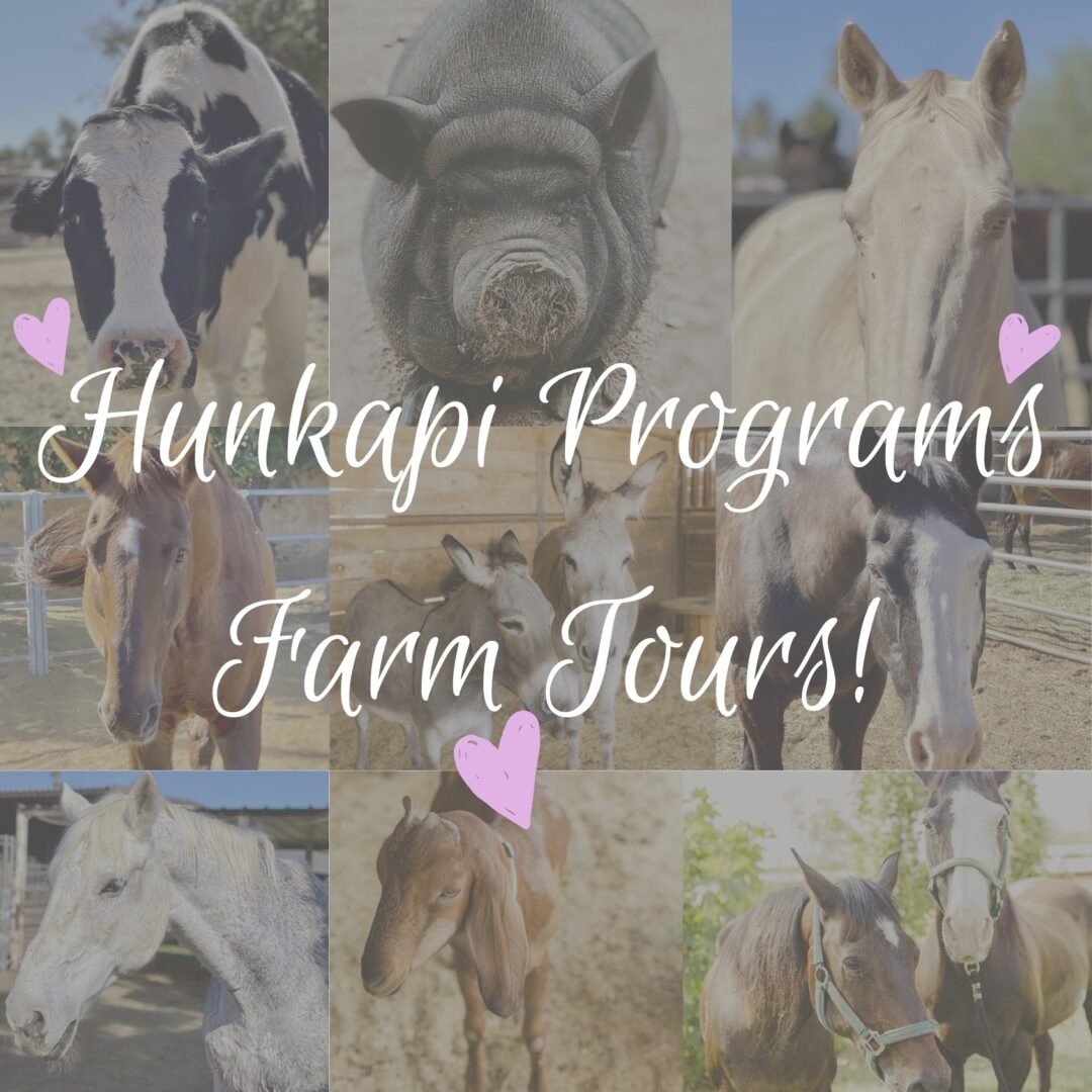 Hunkapi Programs Farm Tours! Hunkapi Programs Farm Tours!