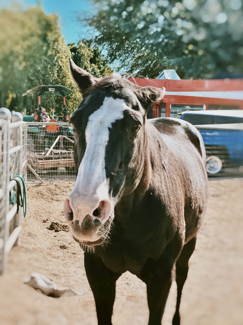 Processed with VSCO with c8 preset Processed with VSCO with c8 preset