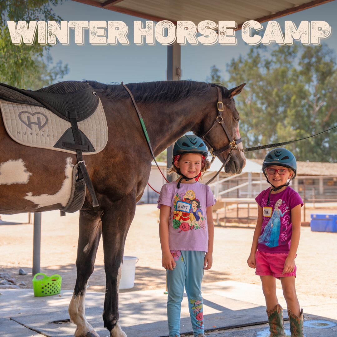 2024 Winter Horse Camp