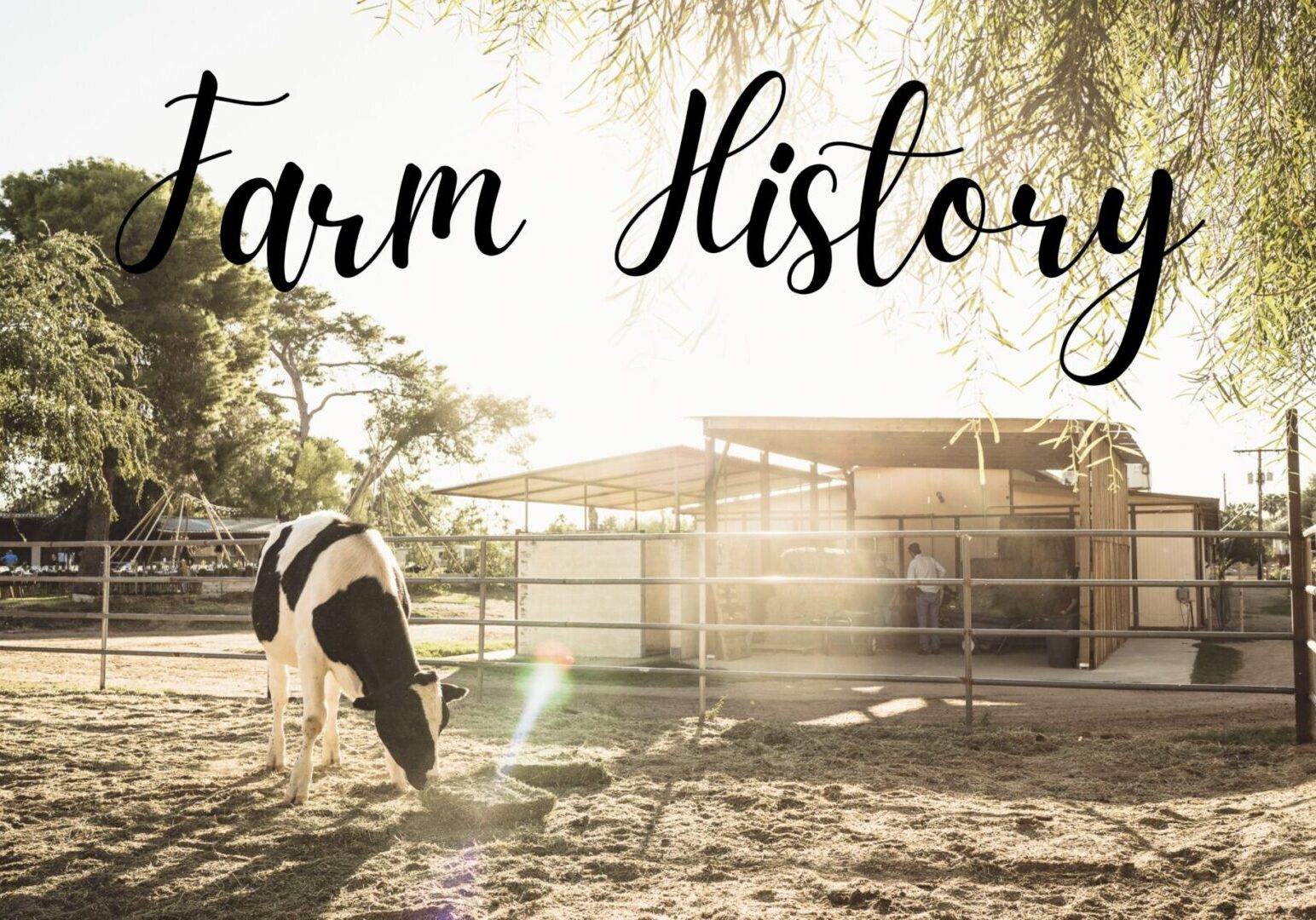 Farm History Farm History